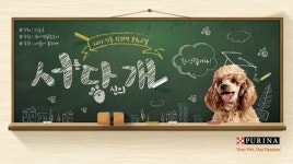 네슬레 퓨리나와 강동구, 반려견 교육 프로그램 ‘서당개’ 참가자 모집