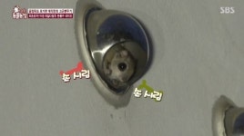 ‘동물농장’ 새 집의 침입자, 알고보니 천연기념물 하늘다람쥐 