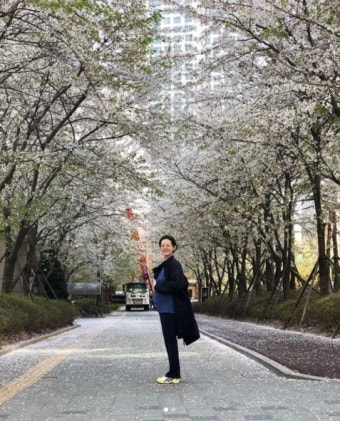 ‘봉태규’ 하시시박, 벚꽃 아래서 뽐낸 아름다운 D라인
