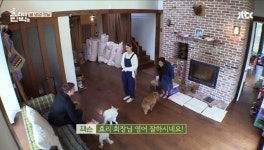 [결정적장면]이효리, 유창한 영어 실력 발휘 “정말 잘해”(효리네민박2)