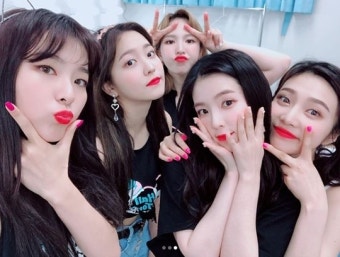 레드벨벳 완전체, 日 콘서트 인증샷 ‘SM 꽃밭 클래스’