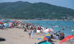 우수 해수욕장 20곳