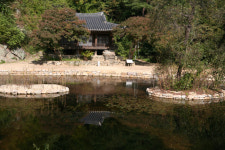 안동시 풍산읍 명품한우 맛 보셨나요