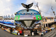 가볼만한 곳 동해안의 명소 죽도시장