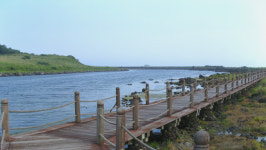 천년의 섬 비양도