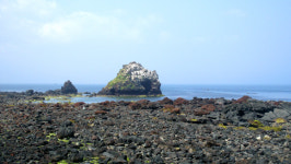 천년의 섬 비양도