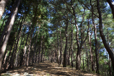 자연생태 체험여행 화순 버스투어