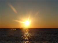 해돋이 관광열차 올해도 빈 자리 없었다!