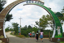 색다른 테마와 여름바다 삼척시티투어