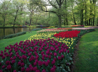 상춘객 유혹할 꽃 축제 상품 출시해 호응 기대