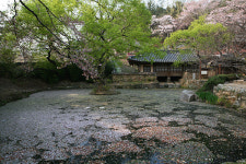 맨발로 황토길 걸으며 산림욕 즐기기