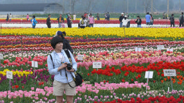 조선시대 양반들의 여름 보양식 민어회
