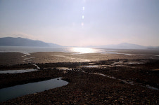 속이 꽉 들어찬 꽃게장에 밥 한그릇