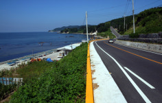 어부들의 보양식 패스트푸드 포항물회, 회국수