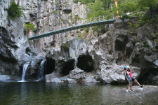 어부들의 보양식 패스트푸드 포항물회, 회국수