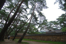 강원도영월, 단종의 삶과 죽음이 숨쉬는 장릉