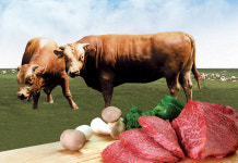 청정 제주산 ‘제동한우’ 스페셜 특선