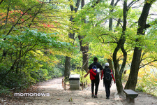 체험여행으로 되살아나는 속리산 에코투어