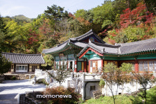 향기로운 여성미 발산하는 소백산