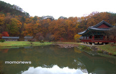 한 겨울 뿌리칠수 없는 온천의 유혹