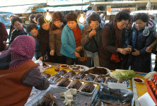 겨울러브투어와 함께 과메기 맛보러 구룡포로