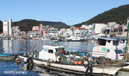 해맞이, 달맞이를 한번에, 명품 드라이브