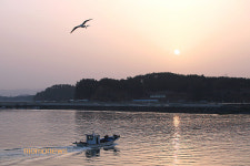 펄떡이는 바다에서 봄맛을 건지다