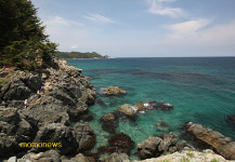 임금님 입맛 사로잡은 강구항 영덕대게