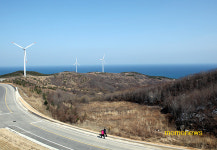 임금님 입맛 사로잡은 강구항 영덕대게