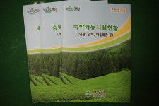 녹차수도 보성에서 편히 쉬어 가세요