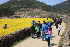 완도 청산도, 슬로시티 모델로 자리잡아