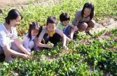 파주시, 행복이 싹트는 시민농장