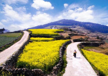 전남, 슬로시티 관광자원화사업 73억투입