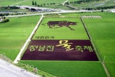 장흥군, 예술 농업시대 열어