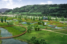 한강 생태계 교란 야생식물 뽁뽁 체험마당