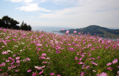 삶에 쉼표를 선물하는 여행, 청산휴가