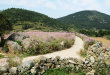 삶에 쉼표를 선물하는 여행, 청산휴가