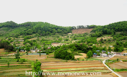 충북 보은군 하얀민들레 생태마을 곶감축제