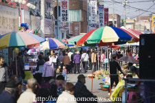 살아있는 문학의 숲, 전남 장흥
