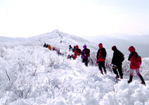 눈꽃 만개한 겨울기차여행 떠나요