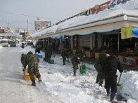 주문진읍, 완벽 제설작업 관광객 맞이 준비완료