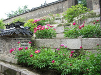 봄꽃내음 가득한 궁궐 왕릉으로 오세요