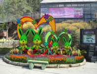 서울 봄 향기 꽃 페스티벌 개최