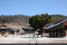 별처럼 반짝이는 체험명소, 경북 영천