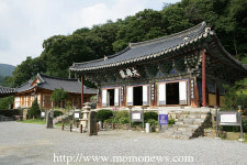 남사당놀이, 전통무용 감상에 벽화마을 탐방