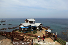 울진 바다위를 달리고 금강송 아래서 삼림욕