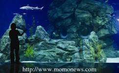 울진 바다위를 달리고 금강송 아래서 삼림욕