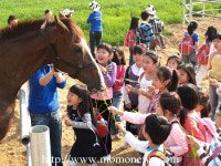 하늘, 땅, 바다를 즐기는 이색체험여행