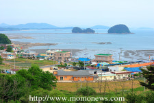 충남 서천군 월하성마을, 7월의어촌