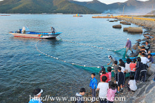 경남 거제시 쌍근마을, 8월의 어촌
